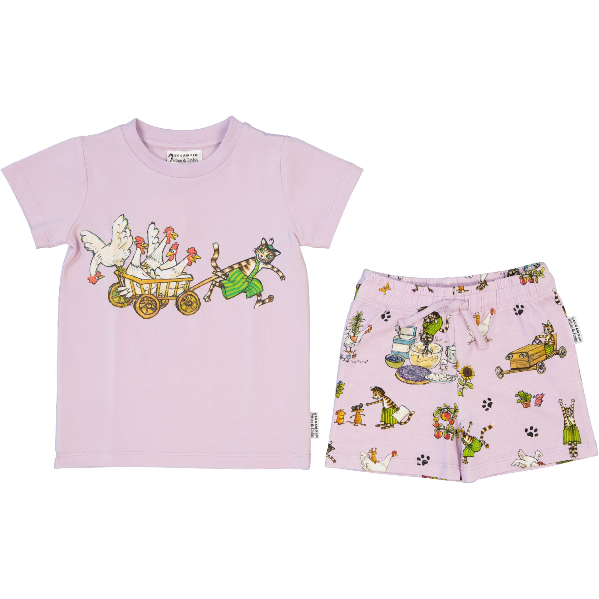 Pettson and Findus Summer set Purple