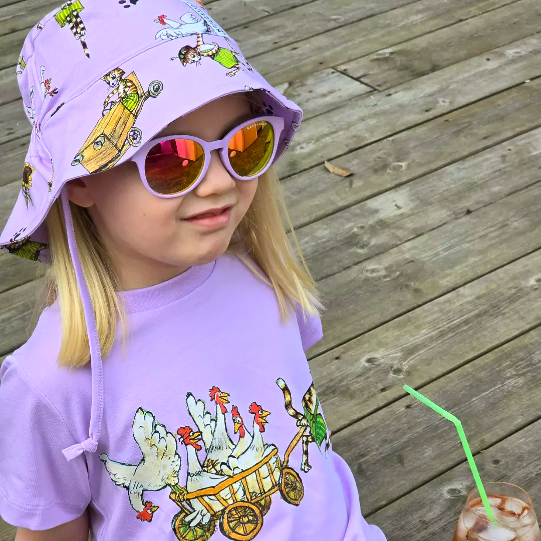 Pettson and Findus Summer set Purple