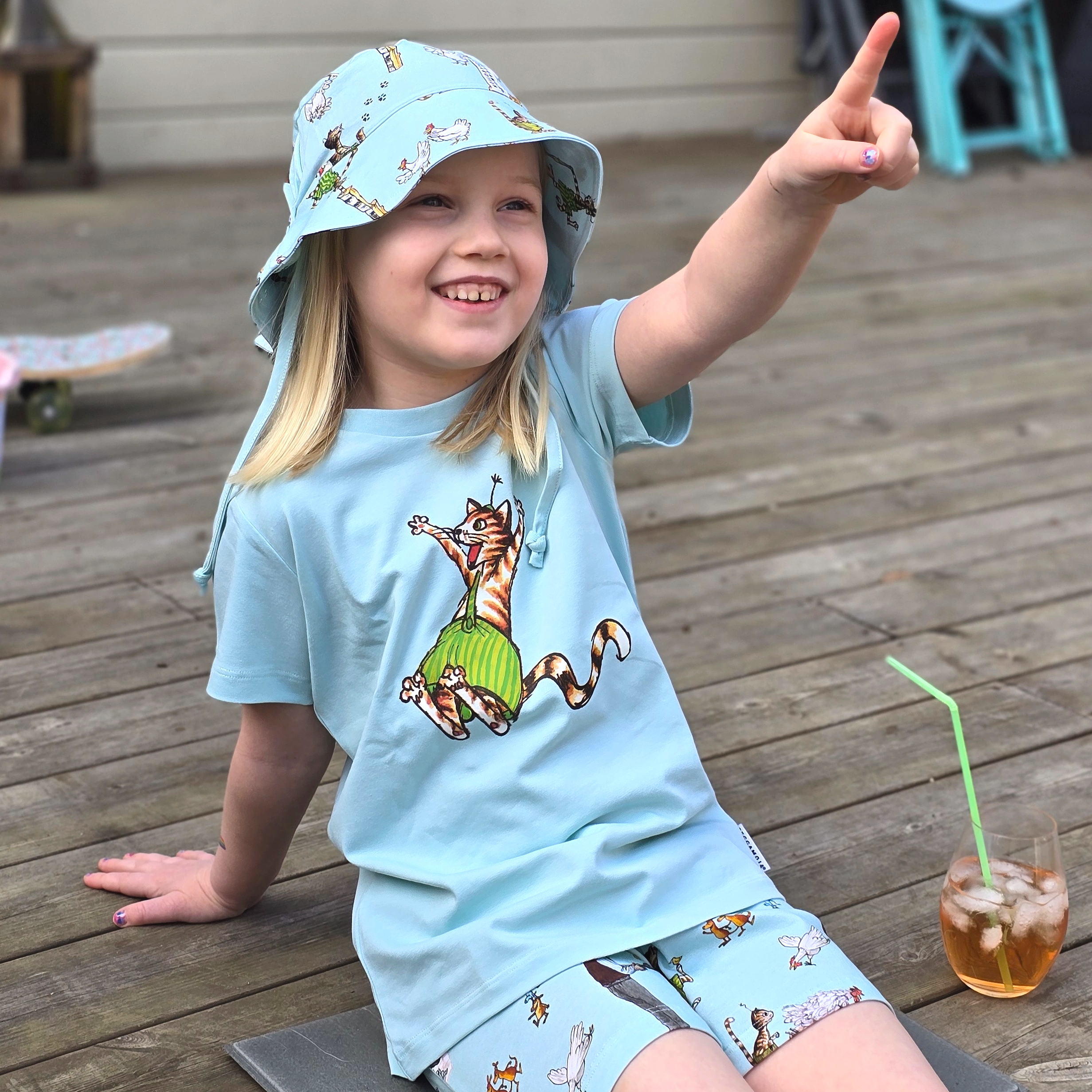 Pettson and Findus Summer set Mint